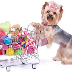 Collection image for: Pet Supplies