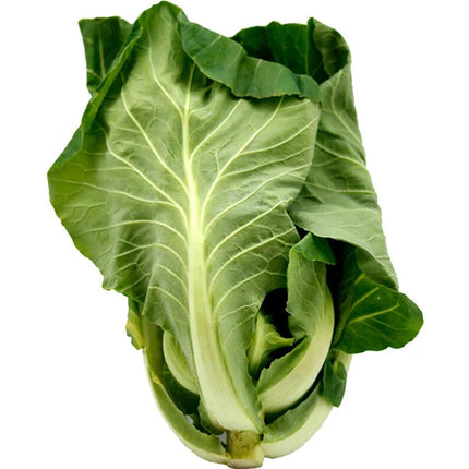 Fresh Couve Portuguesa / Penca
