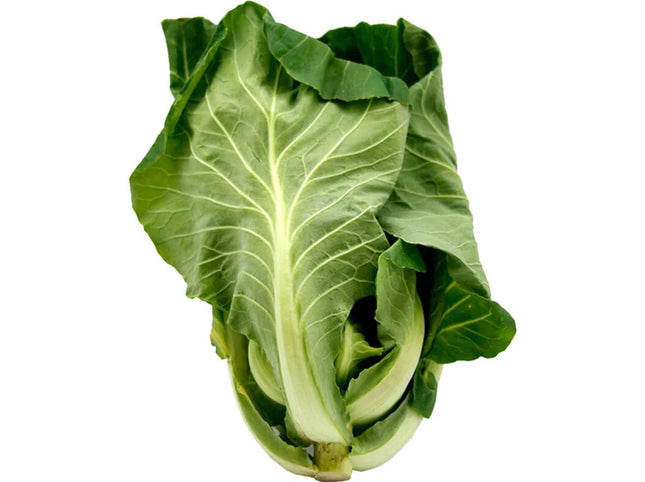 Fresh Couve Portuguesa / Penca