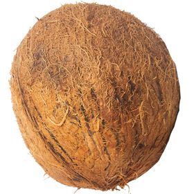 Coco Seco – Rich, Nutty & Naturally Energizing