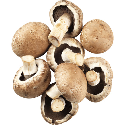 Fresh Cogumelo Marron Fresco