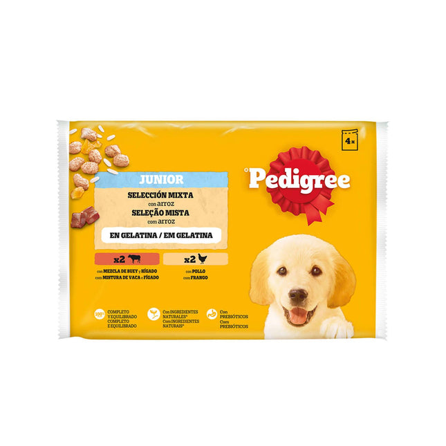 Pedigree Junior Wet Dog Food Chicken & Beef with Carrots in Jelly 4x100g | Complete Nutrition for Growing Puppies