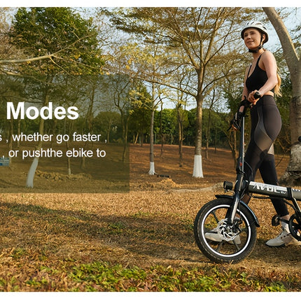 VDL A10 Electric Folding Bike – 250W Motor, 36V Battery, 70km Range, 16-Inch Wheels