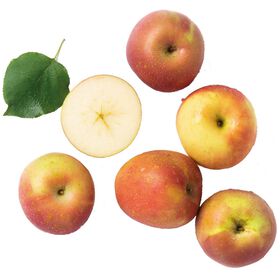 Maçã Fuji – Crisp, Sweet & Refreshingly Juicy