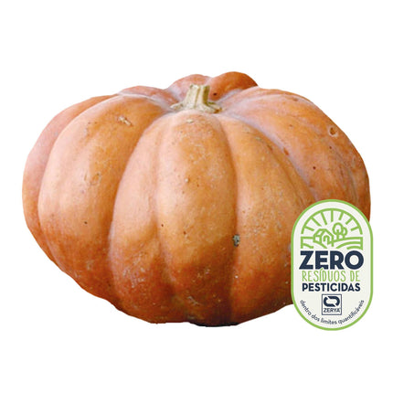 Fresh Abóbora Bolina / Menina Resíduo Zero