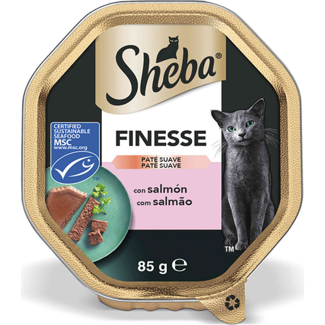 Sheba Wet Cat Food Adult Salmon Terrine 85g | Gourmet Flavor for Happy, Healthy Cats