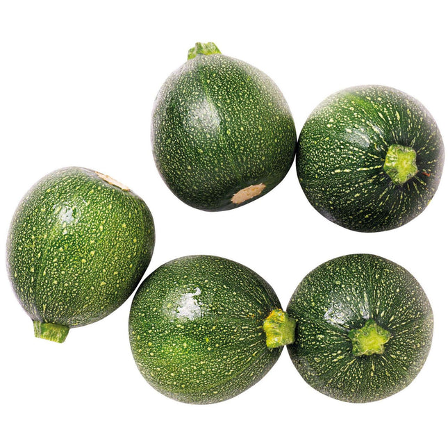 Fresh Curgete Redonda