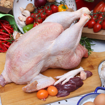 Free-Range Hen (Galinha do Campo)