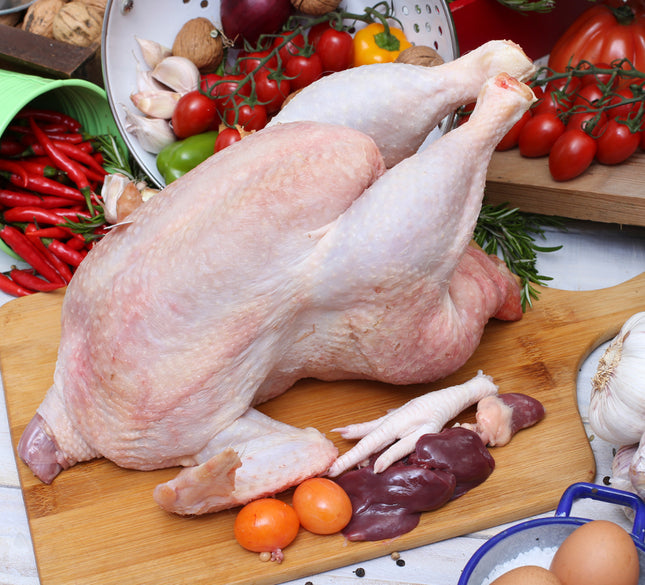 Free-Range Hen (Galinha do Campo)